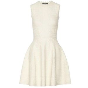 Alexander McQueen Dress.